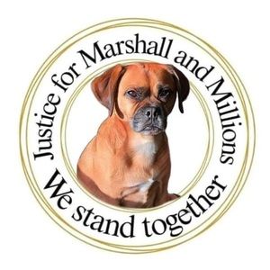 Meet your Posher, Leanne